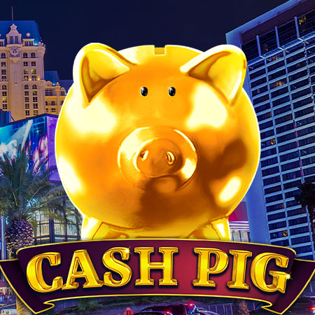 Cash Pig